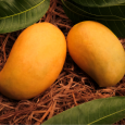 Mangoes 1kg