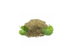 Brahmi Leaf Powder 100gm- Vfc